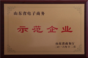 山东省电子商务示范企业